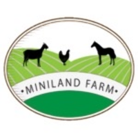 Miniland Farm